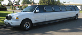 14 Passenger SUV Limousine